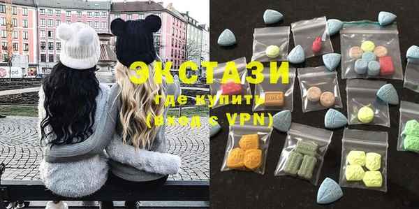 индика Медвежьегорск