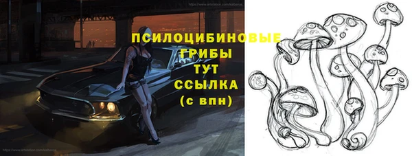 спиды Мегион