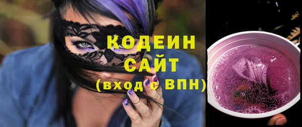 индика Медвежьегорск