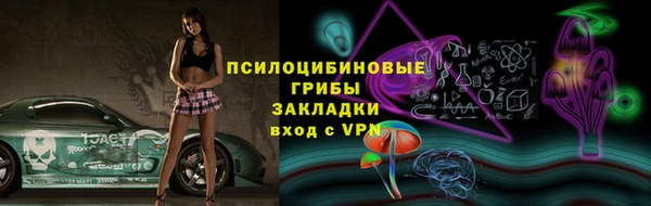 индика Медвежьегорск