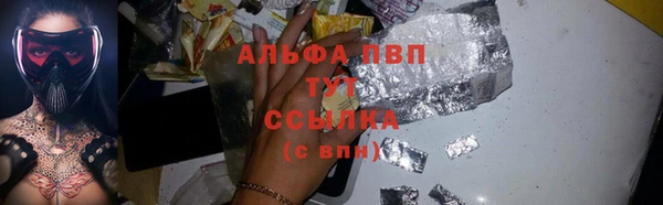 индика Медвежьегорск