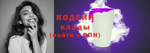 МДПВ Дегтярск
