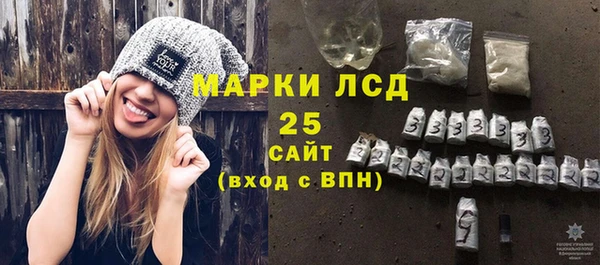 индика Медвежьегорск