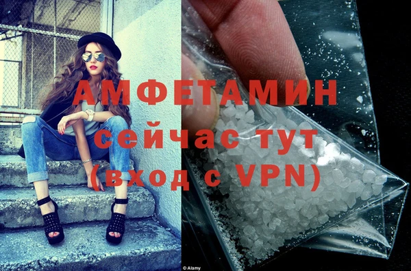 индика Медвежьегорск