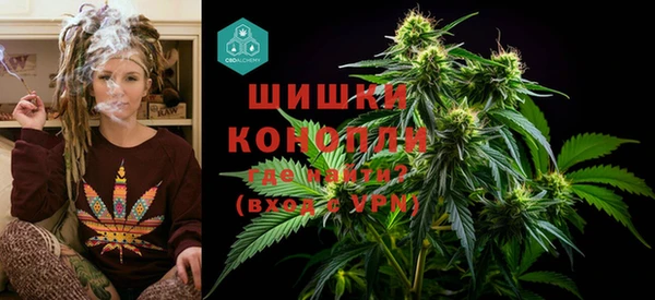 МДПВ Дегтярск