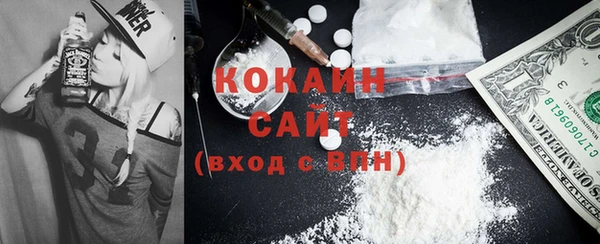 индика Медвежьегорск