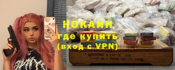 индика Медвежьегорск