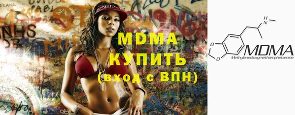 индика Медвежьегорск