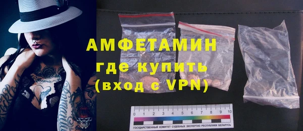 индика Медвежьегорск