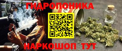 дмт Донской