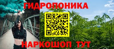 дмт Донской