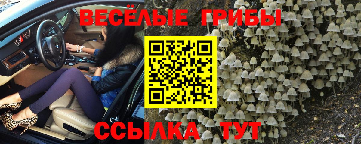 Советский  Галлюциногенные грибы Cubensis  Псилоцибиновые грибы прущие грибы  где продают   Вход с VPN 